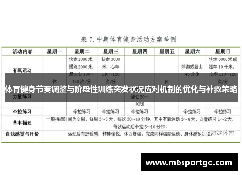 体育健身节奏调整与阶段性训练突发状况应对机制的优化与补救策略
